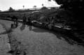 08_2006_0666